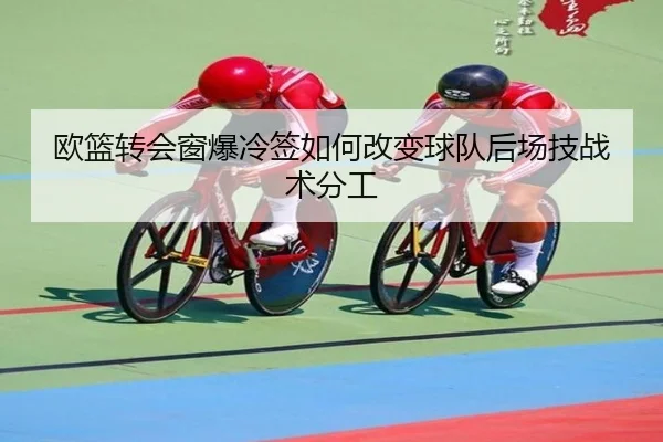 欧篮转会窗爆冷签如何改变球队后场技战术分工